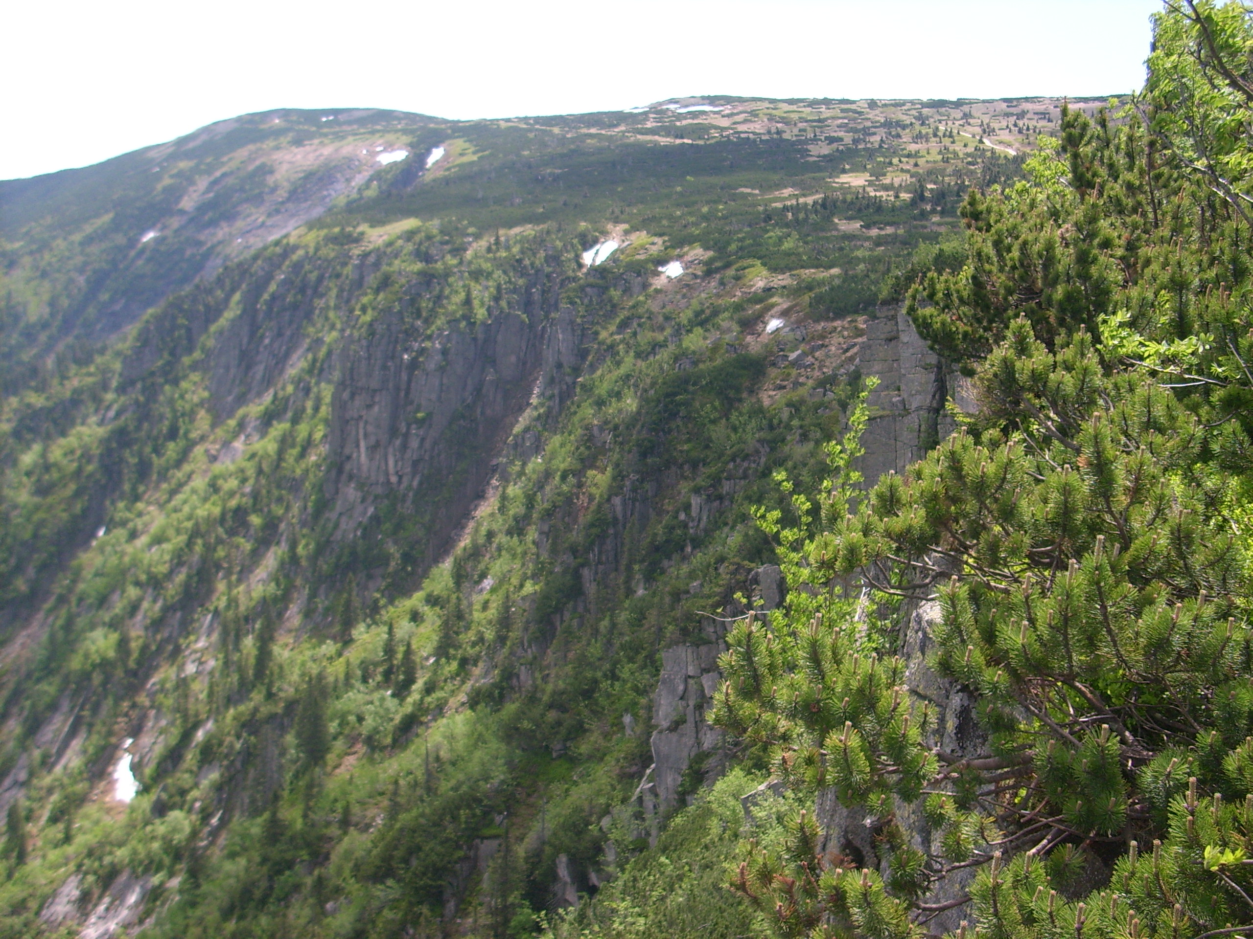 IMG_1376.JPG
